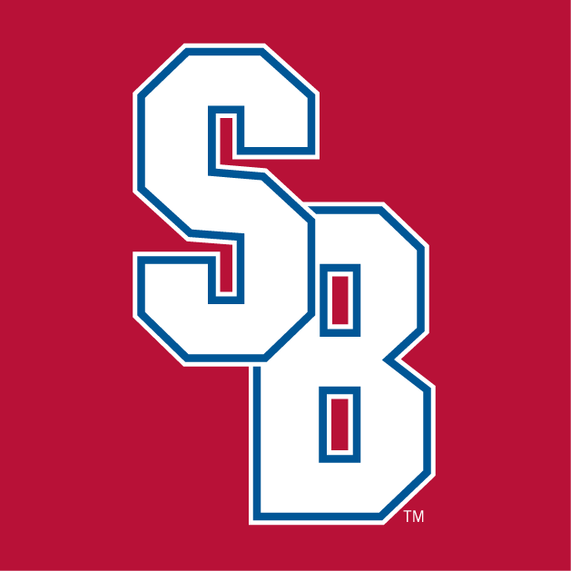 Stony Brook Seawolves 2008-Pres Alternate Logo v3 iron on transfers for T-shirts